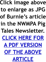 Click image above to enlarge as JPG of Burnie’s article in the NWMPA Pig Tales Newsletter. CLICK HERE FOR A PDF VERSION OF THE ABOVE ARTICLE